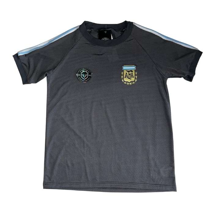 REMERA AFA GRIS